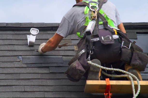 Best Roof Gutter Cleaning  in Apple Creek, OH